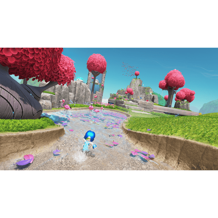 Astro Bot Game (PS5)