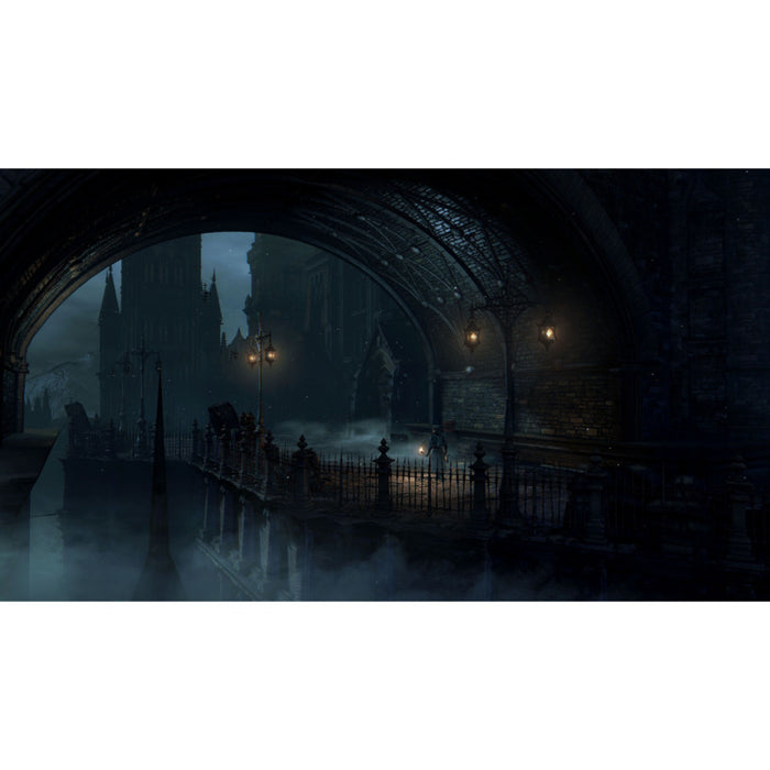 Bloodborne game /HITS/ (PS4)