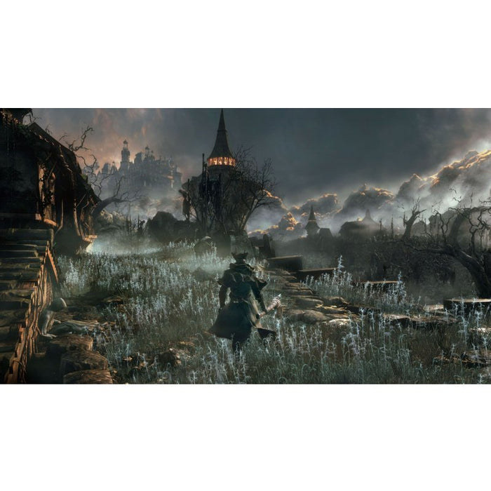 Bloodborne game /HITS/ (PS4)
