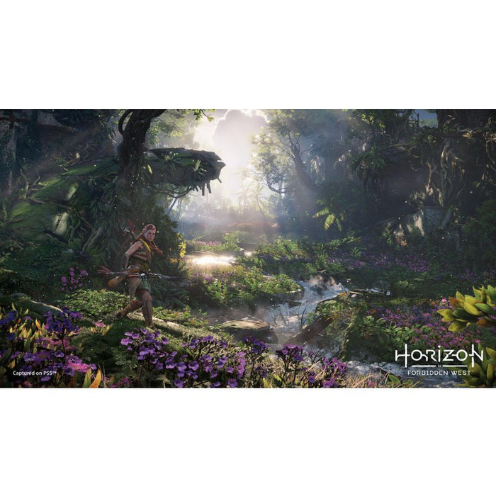 Horizon Forbidden West Game (PS4)