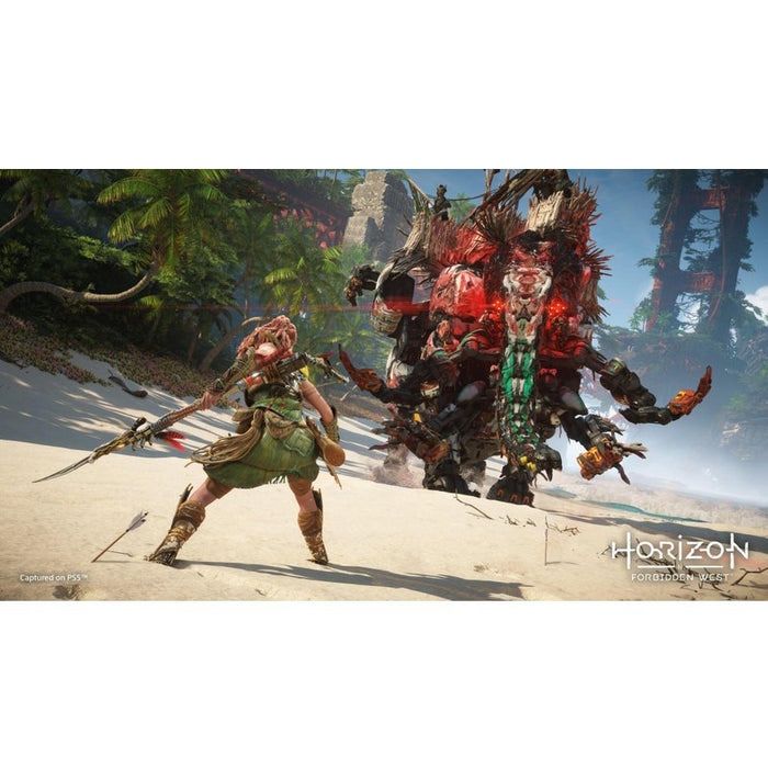 Horizon Forbidden West Game (PS5)