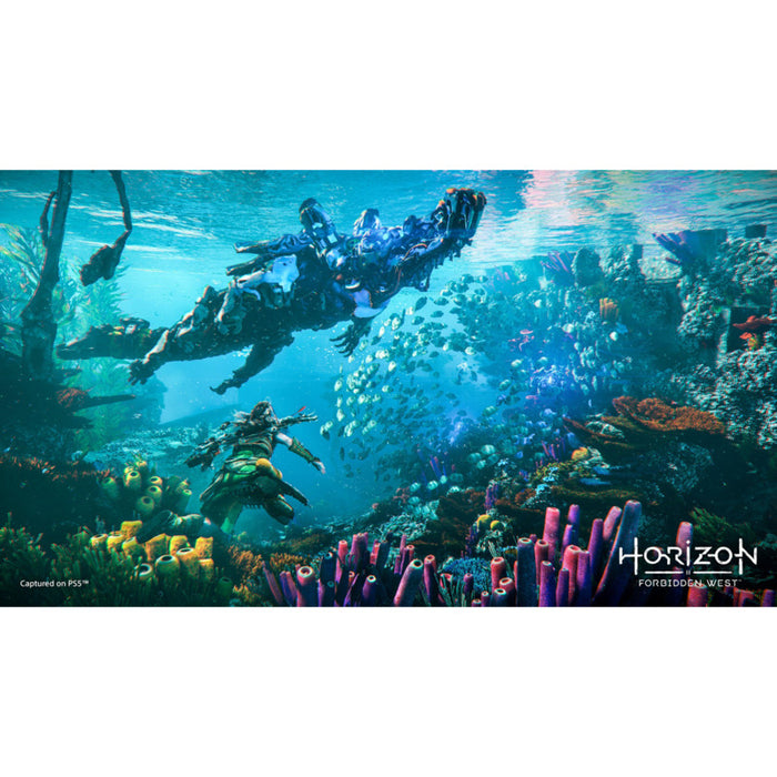 Horizon Forbidden West Game (PS5)