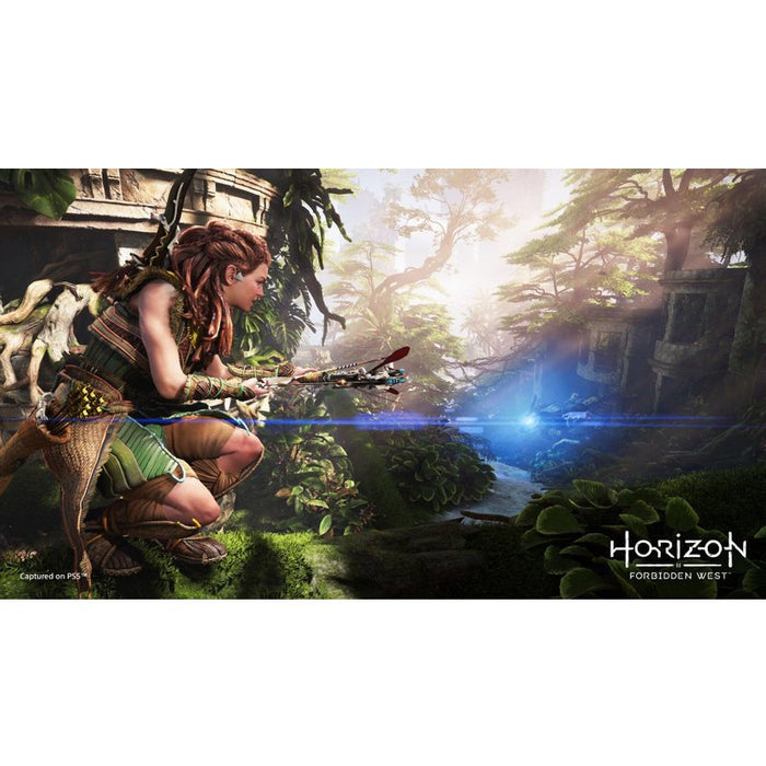Horizon Forbidden West Game (PS5)