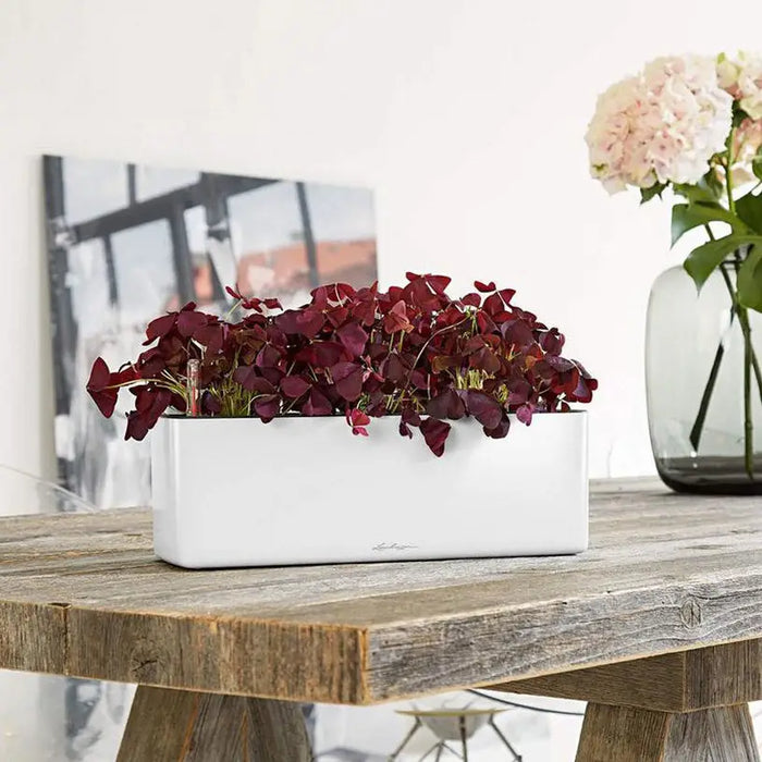 POT 40X14CM WITH IRRIGATION SYSTEM LECHUZA CUBE GLOSSY TRIPLE - Саксии<<<Саксии кашпи и