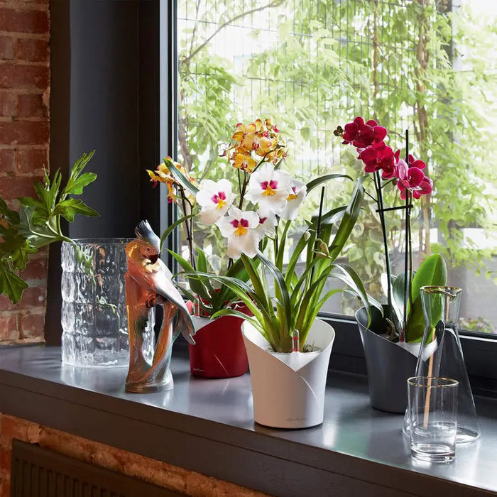 POT F18CM WITH IRRIGATION SYSTEM LECHUZA ORCHIDEA - Саксии<<<Саксии кашпи и