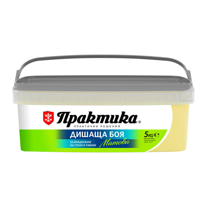 INTERIOR PAINT PINEAPPLE COLOR 5 KG PRAKTIKA