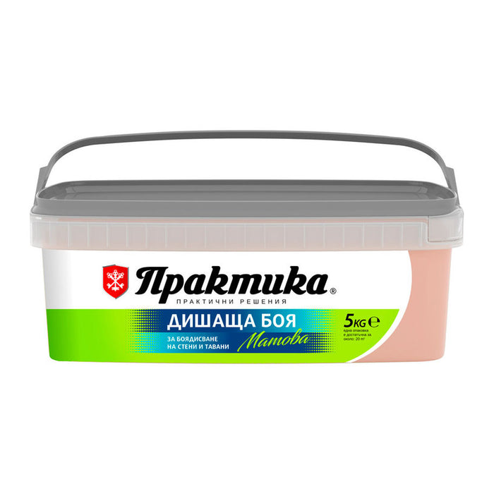 INTERIOR PAINT COLOR CHRYSANThemum 5 KG PRAKTIKA