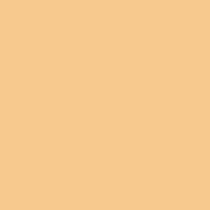 FACADE PAINT MANDARINA 4.5 KG PRAKTIKA
