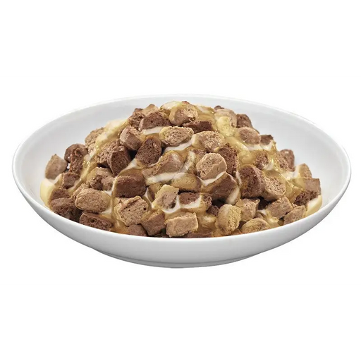 PREVITAL Cat Food Junior Mix Flavors with Lamb Turkey Salmon Trout in Gravy – wet cat food – 4 x 100 g - Wet