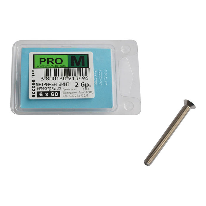 STAINLESS METRIC BOLT 2 PCS PRO M 6 X 60 MM