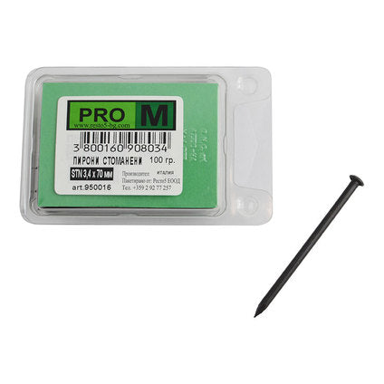 STEEL NAILS 100 G PRO M 3.4X70 MM