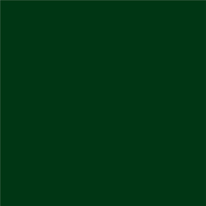 3 IN 1 ENAMEL COAT 2.5 L DARK GREEN COLOR PROTECTA