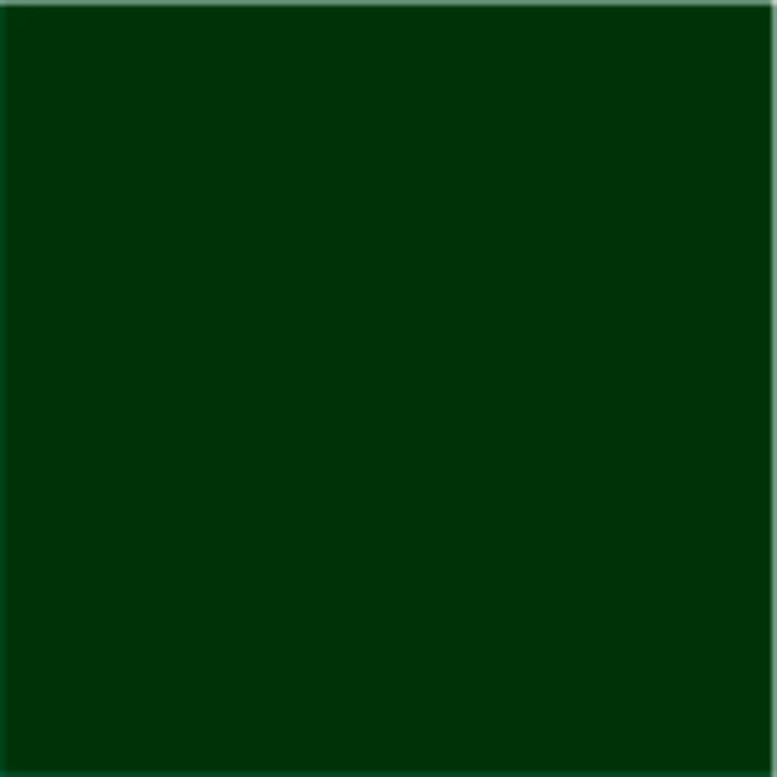 PROTECTA 3B1 0.5 L GREEN T.0.5