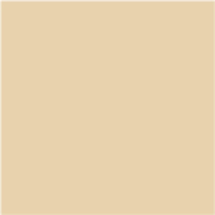 3 IN 1 ENAMEL LACQUER 2.5 L LIGHT BEIGE COLOR PROTECTA