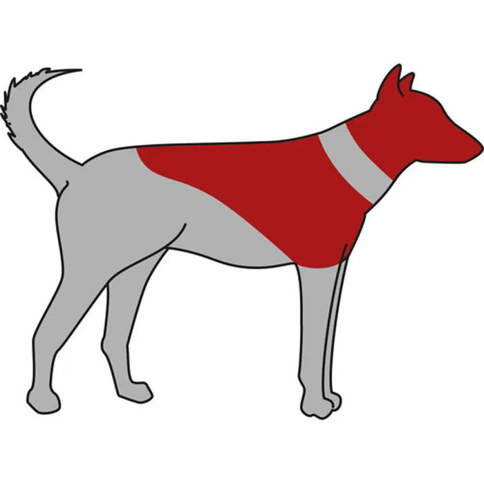 Protective collar for dog Trixie Blue Inflatable (40-45 cm) - Домашни Животни<<<Дом Градина<<<BigBuy&&&Здраве и