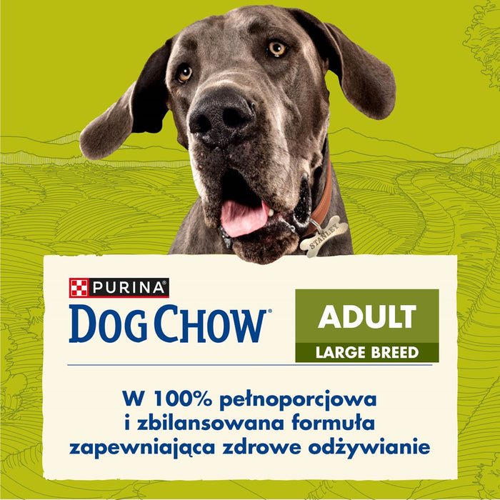 Fodder Purina DOG CHOW Large Breed Adult Adult Turkey 14 Kg