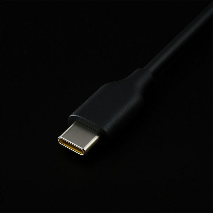 Wall Charger Qoltec 52420