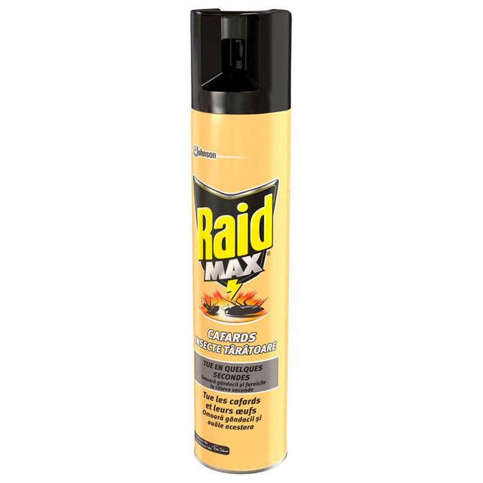 AEROSOL MAX 3B1 AGAINST CRAWLING INSECTS RAID