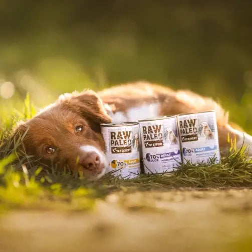 RAW PALEO Adult Monoprotein Cod - wet dog food - 800 g - Wet foodDLP-KAM<<<For the dogDLP<<<ActionPL
