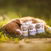 RAW PALEO Adult Monoprotein Cod - wet dog food - 800 g - Wet foodDLP-KAM<<<For the dogDLP<<<ActionPL