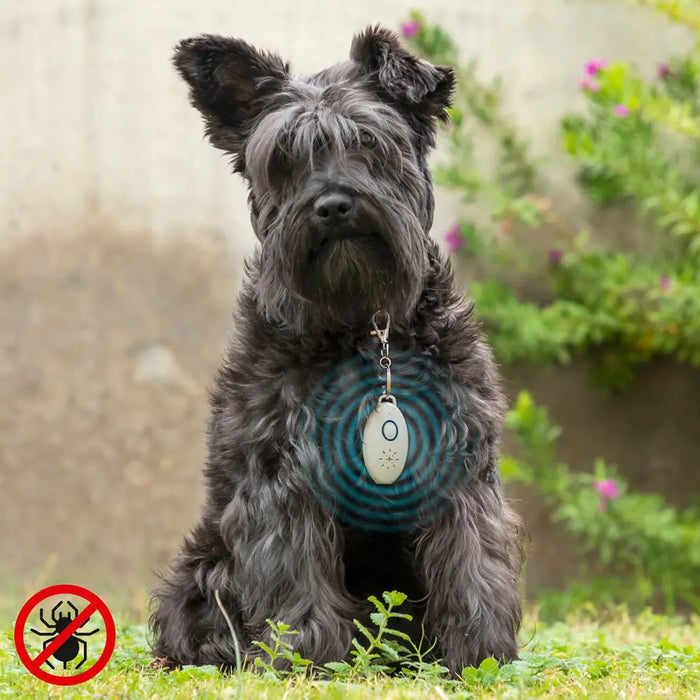 Rechargeable Ultrasound Parasite Repellent for Pets PetRep InnovaGoods - Домашни Животни<<<Дом