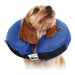 Recovery Collar for Dogs KVP Kong Cloud Blue Inflatable (33-46 cm) - Домашни Животни<<<Дом Градина<<<BigBuy&&&Здраве и