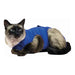 Recovery Vest for Pets KVP 25-33 cm Blue - Домашни Животни<<<Дом Градина<<<BigBuy&&&Здраве и хигиена<<<Домашни