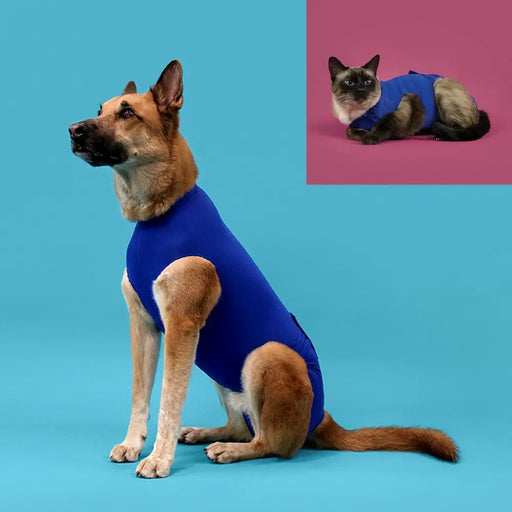 Recovery Vest for Pets KVP 35-43 cm Blue - Домашни Животни<<<Дом Градина<<<BigBuy&&&Здраве и хигиена<<<Домашни