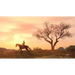 Red Dead Redemption Game (NSW) - Игри<<<Конзоли и аксесоари<<<ТВ Аудио Gaming<<<ZoraSite
