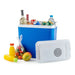 REFRIGERATOR BOX 24L 12V ATLANTIC BLUE 24.00 L - Хладилни кутии<<<Къмпинг<<<Градина<<<Praktiker&&&Охладители<<<За