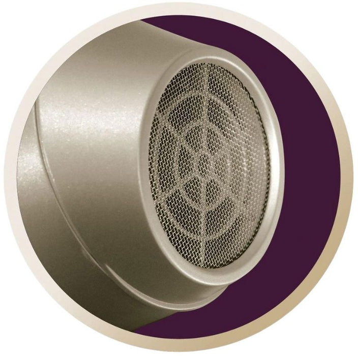 Hairdryer Remington AC8605 Champagne 2300 W