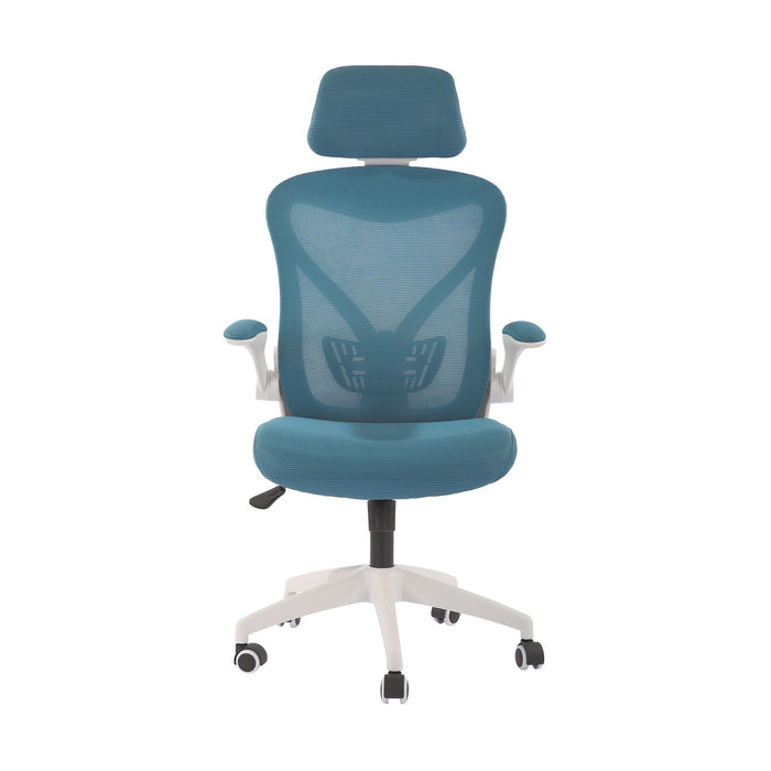 RFG Director's chair Jolly White HB, blue-green