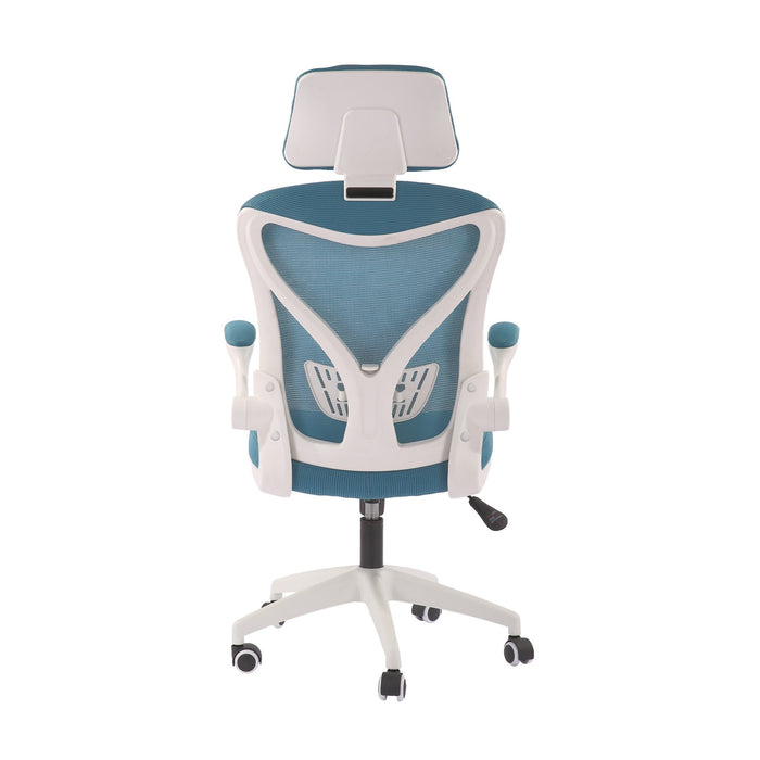 RFG Director's chair Jolly White HB, blue-green