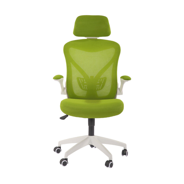 RFG Director's chair Jolly White HB, green