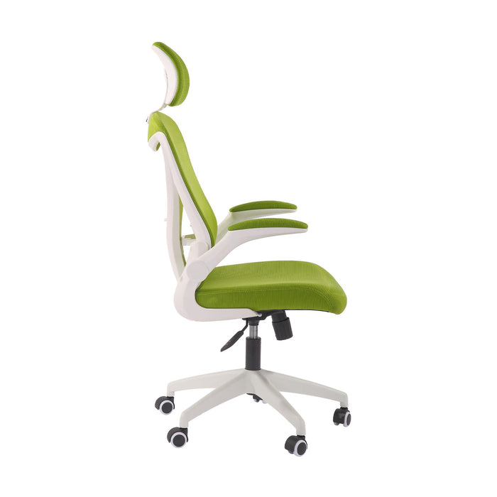 RFG Director's chair Jolly White HB, green
