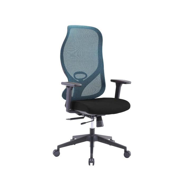 RFG Ergonomic chair STAR HB, black seat, blue backrest