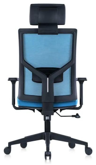 RFG Director's chair Snow Black HB, light blue seat, light blue back