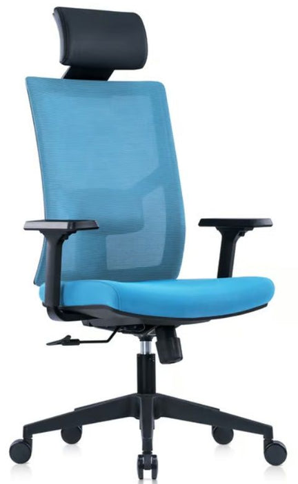 RFG Director's chair Snow Black HB, light blue seat, light blue back