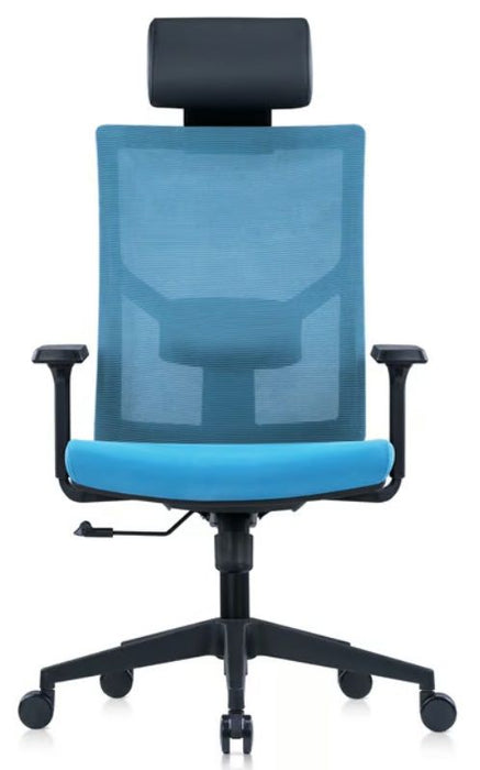 RFG Director's chair Snow Black HB, light blue seat, light blue back