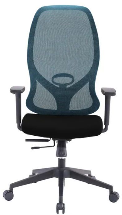RFG Ergonomic chair STAR HB, black seat, blue backrest