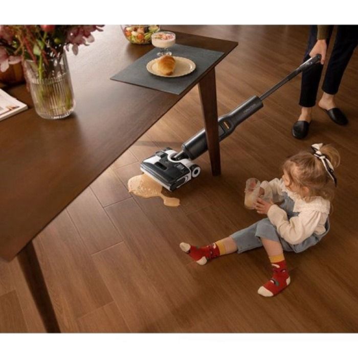 ROBOROCK F25 ACE Wet and Dry Vacuum Cleaner, Black WD5M2A
