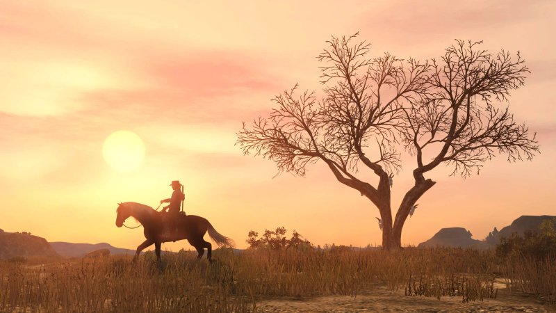 Red Dead Redemption Game (NSW)