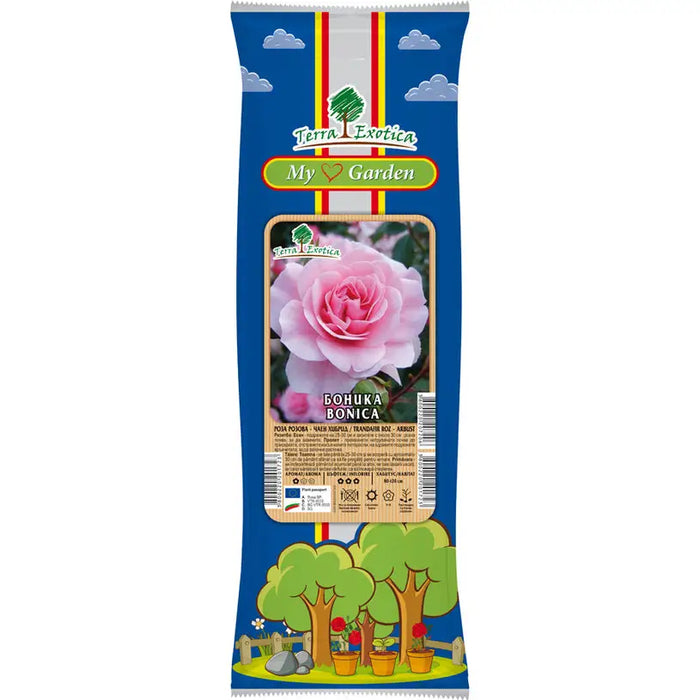 ROOT ROSE TEA HYBRID EKZOTIKA - Корени<<<Външни растения<<<Градина<<<Praktiker