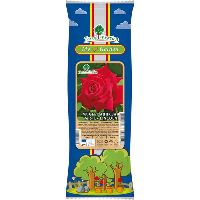 ROOT ROSE TEA HYBRID EKZOTIKA - Корени<<<Външни растения<<<Градина<<<Praktiker