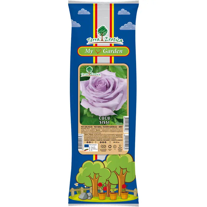 ROOT ROSE TEA HYBRID EKZOTIKA - Корени<<<Външни растения<<<Градина<<<Praktiker