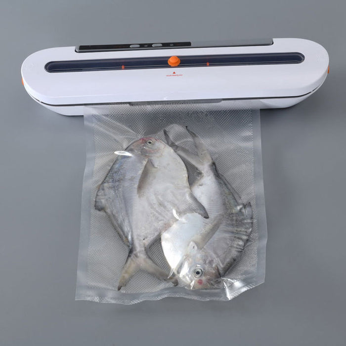 VACUUM MACHINE ROSBERG RP51987B