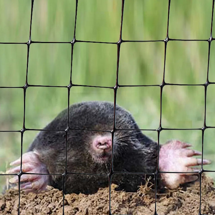 MOLE PROTECTION NET 1X50M ROSSIMA RO 85305