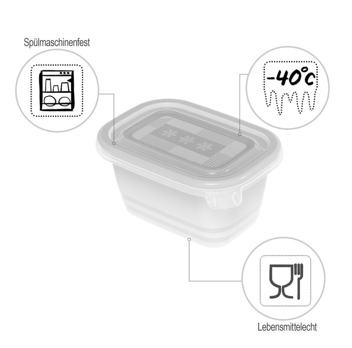 ROTHO Freeze - freezer container - 6x250ml