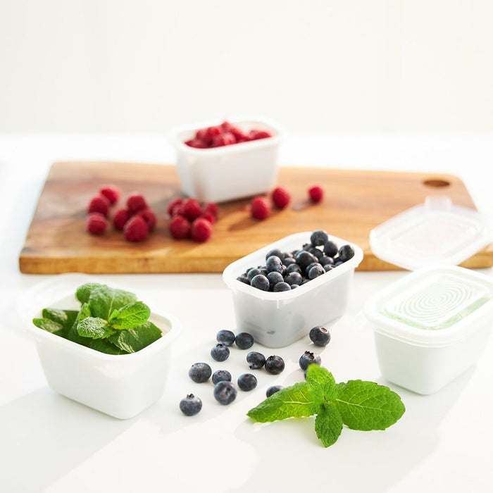 Cat Feeder Rotho Transparent (6 Units)