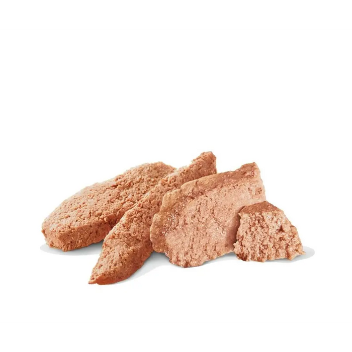 ROYAL CANIN Gastrointestinal Low Fat Loaf VHN - wet dog food - 200g - Wet food for a dogVET-KMP<<<VETVET<<<ActionPL